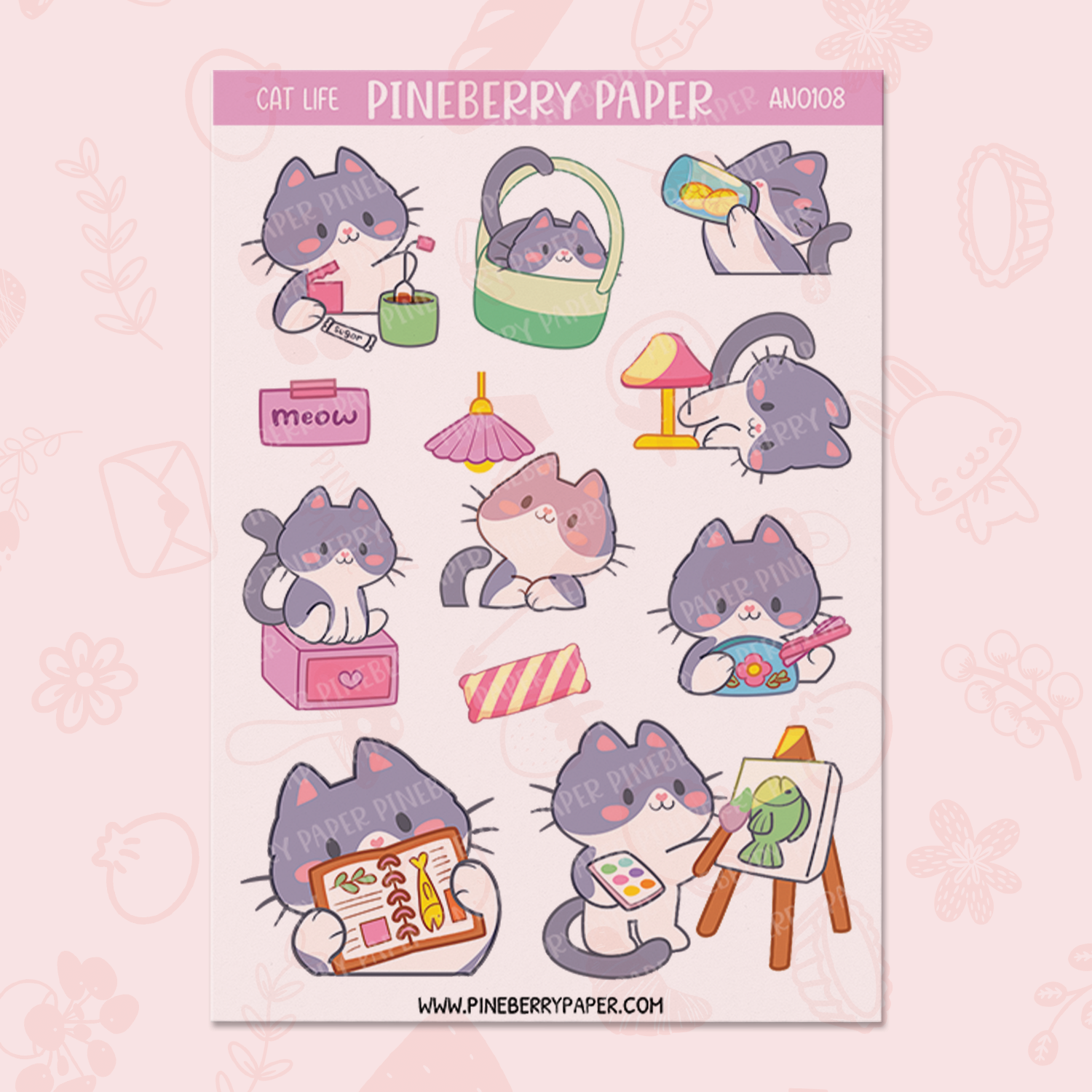 Daily Cat | AN0108