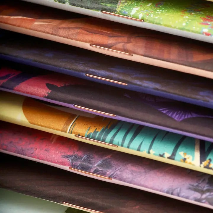 Field Notes National Parks Series | Pocket Notebooks with Park Illustrations