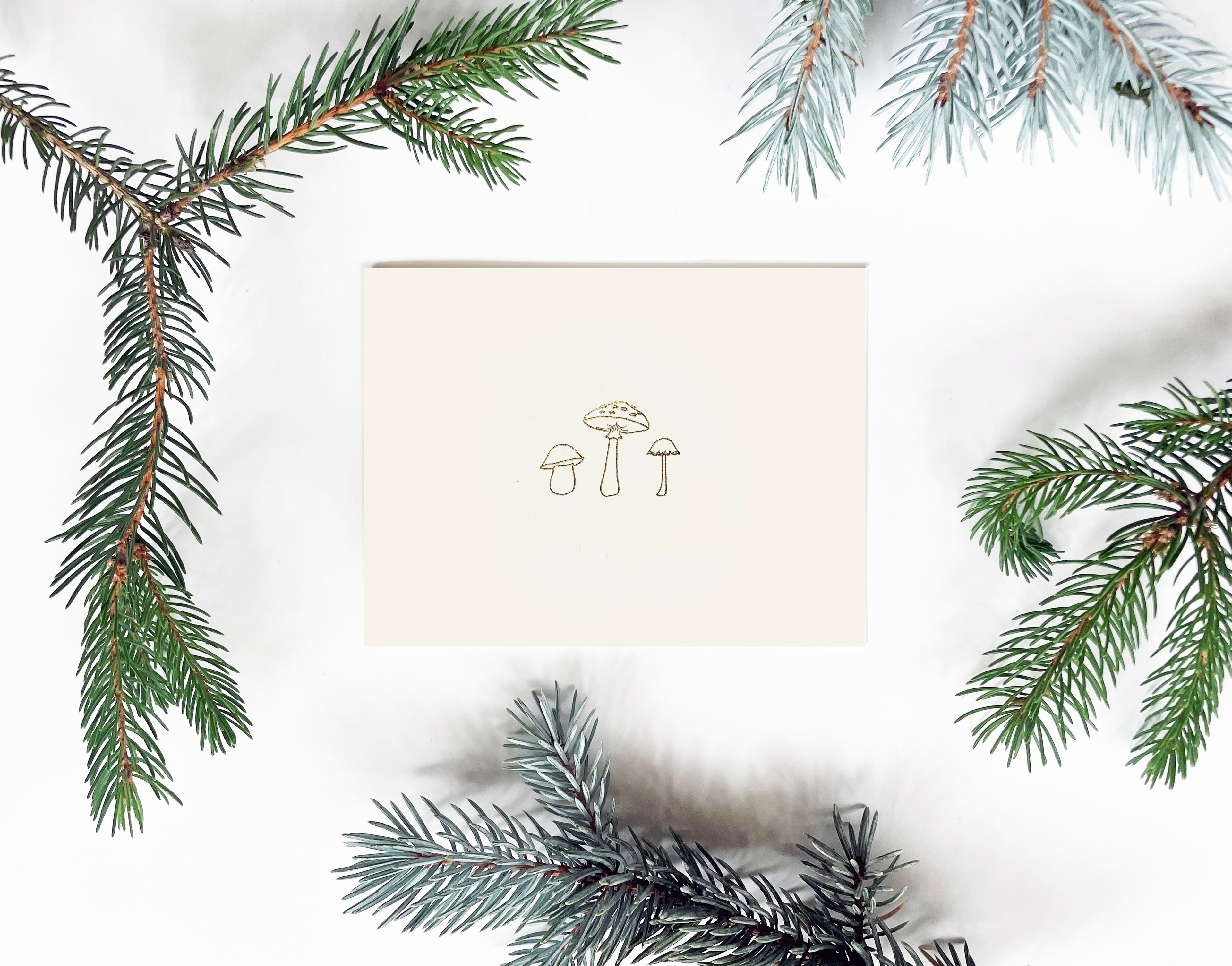 Mushroom Trio Letterpress Greeting Card