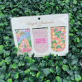 Adventure Awaits Magnetic Bookmark Set