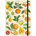 Citrus Large Notebook