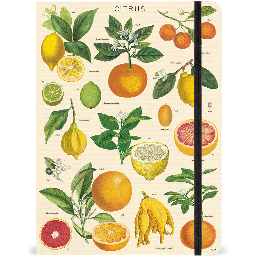Citrus Large Notebook